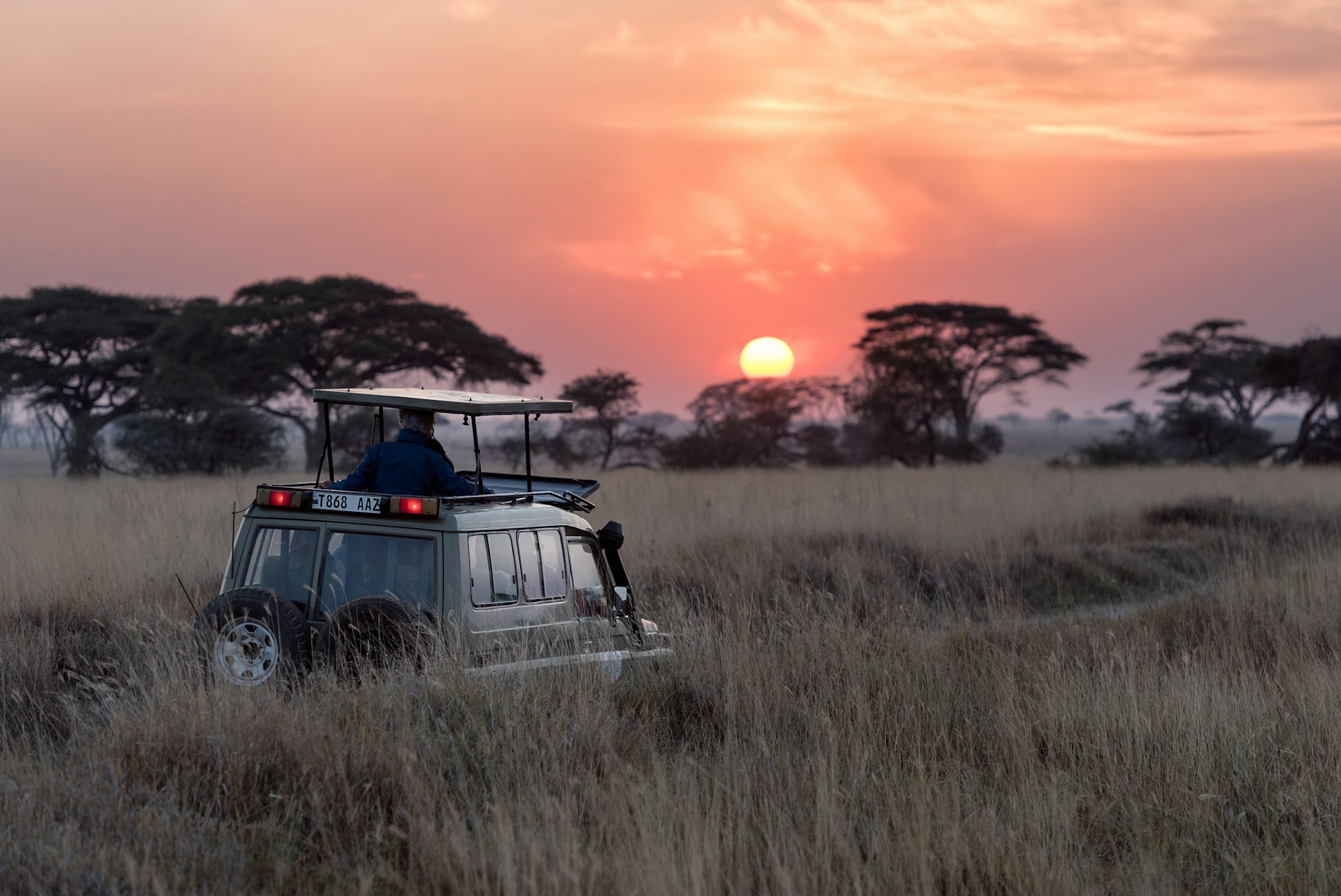 Hot air balloon over wildebeest migration in Africa